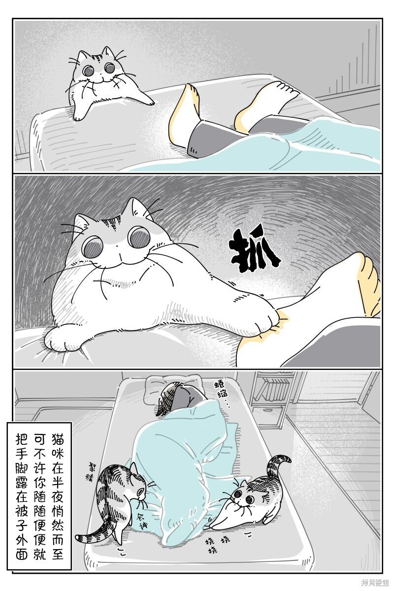 第213话