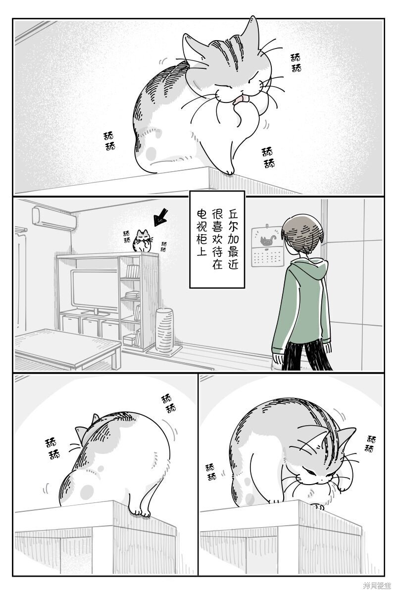 第215话