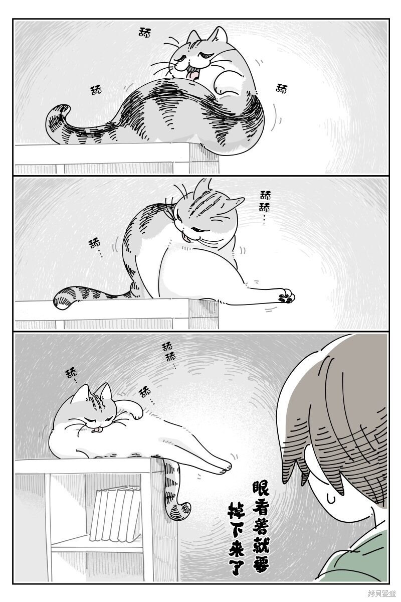第215话
