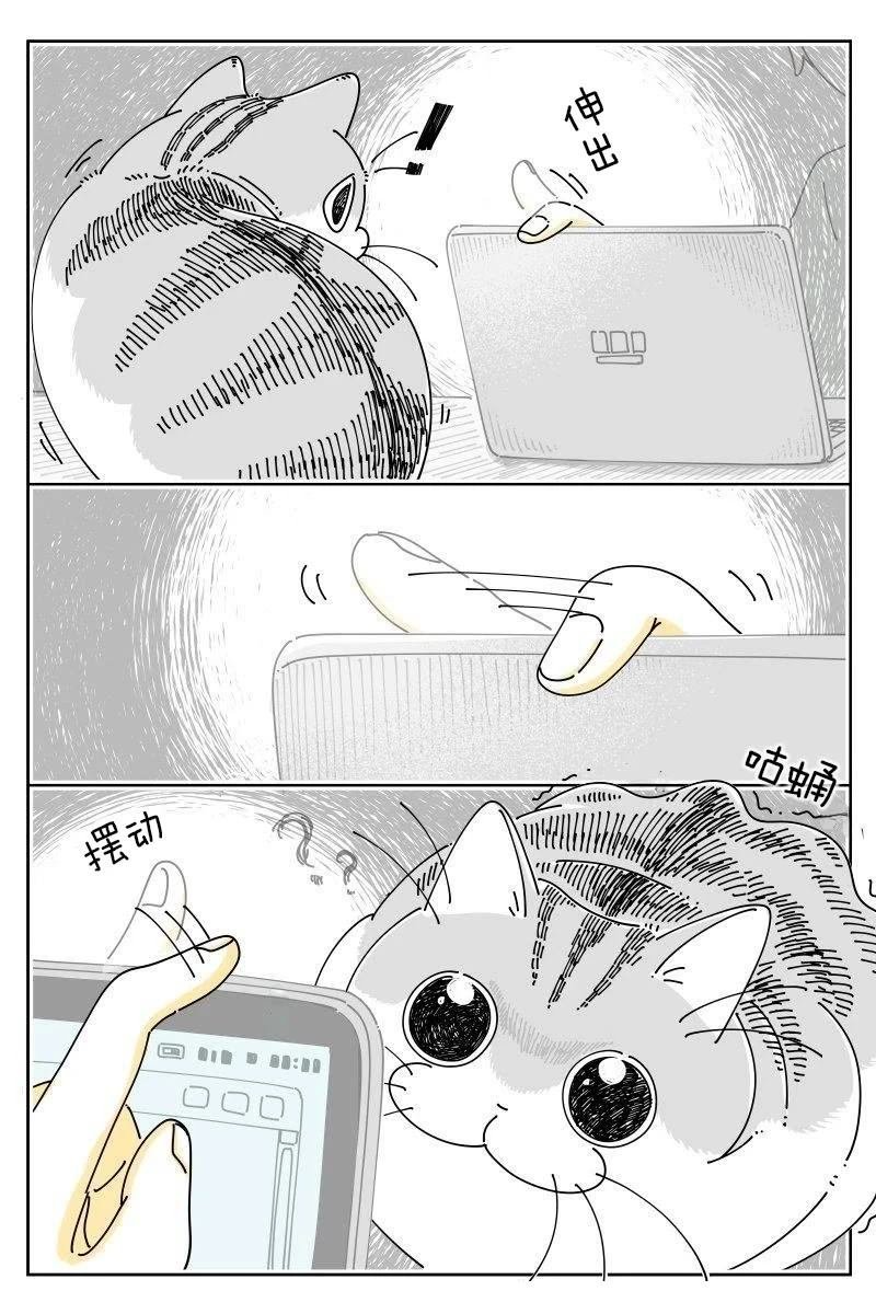第217话