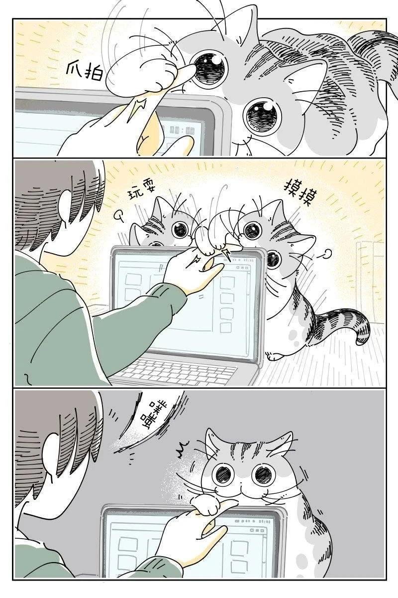 第217话