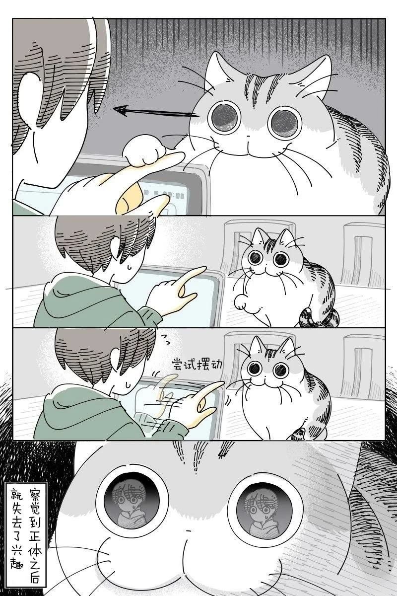 第217话