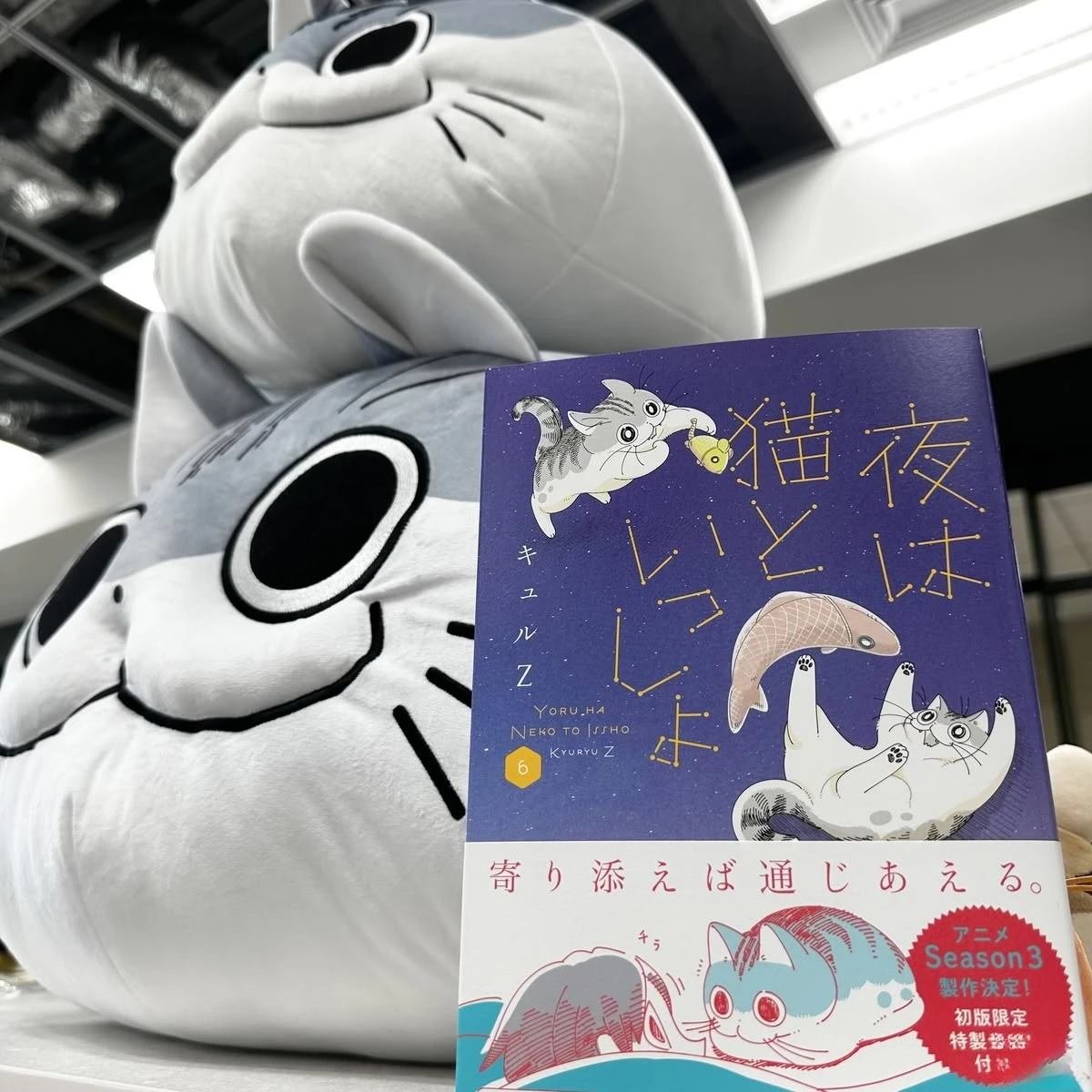 第217话