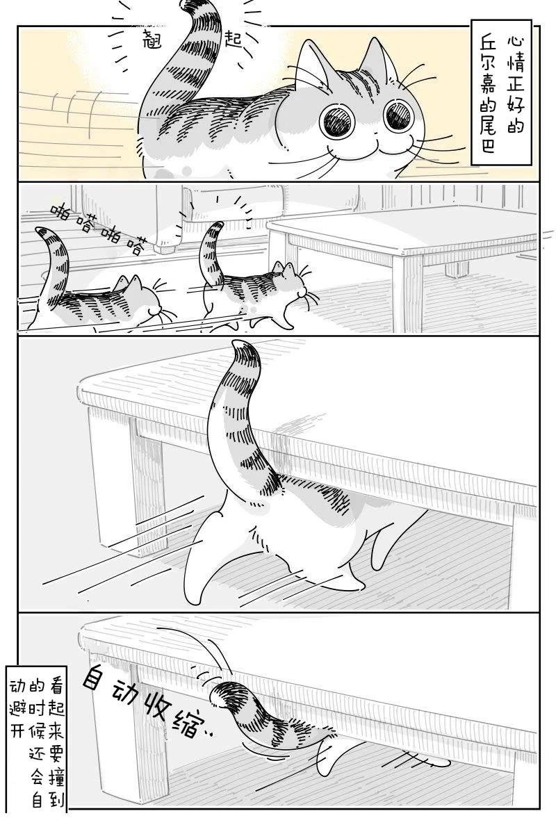 第218话