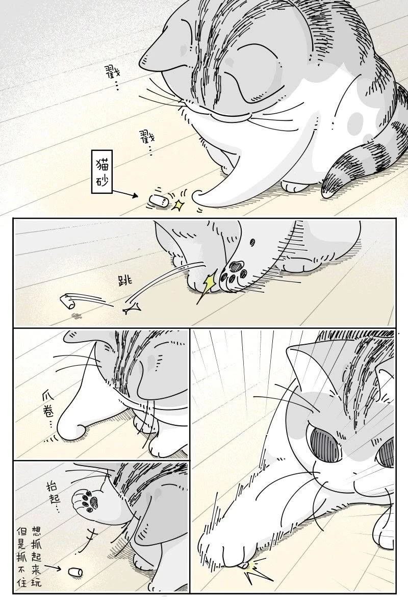 第219话