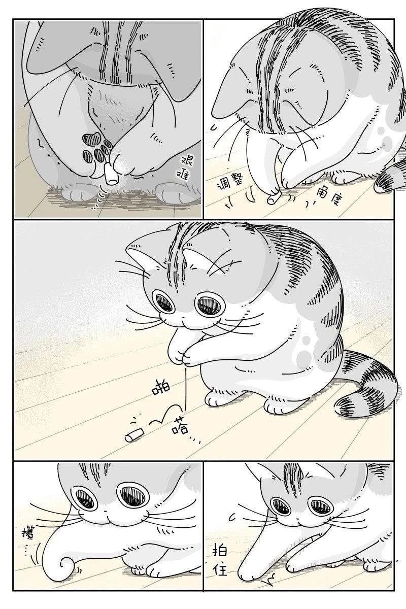 第219话