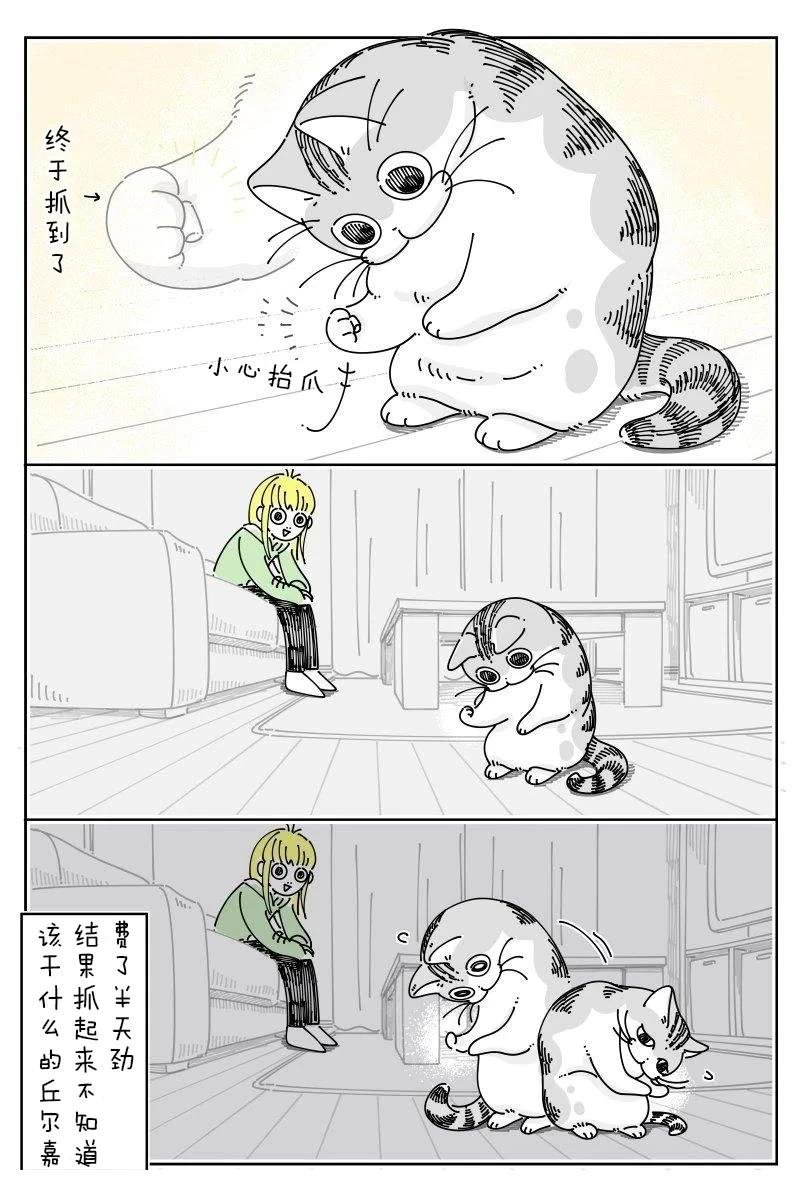第219话