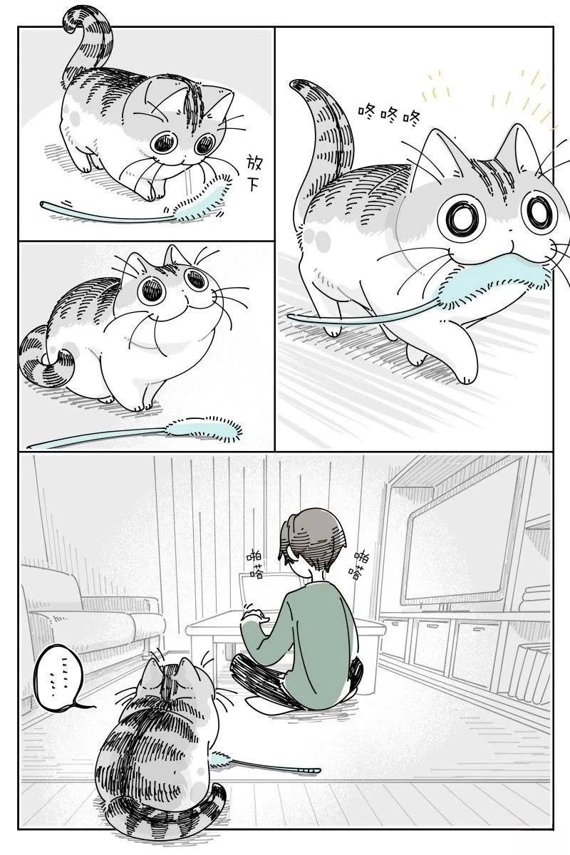 第220话