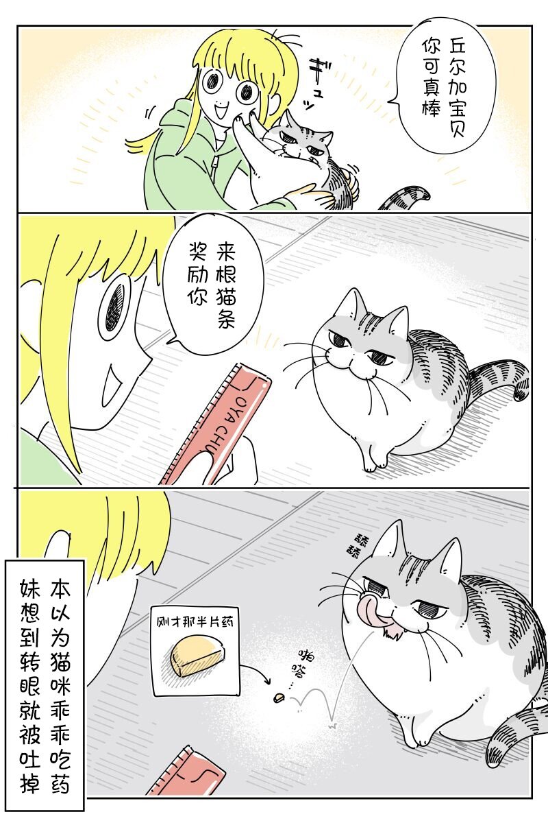 第221话