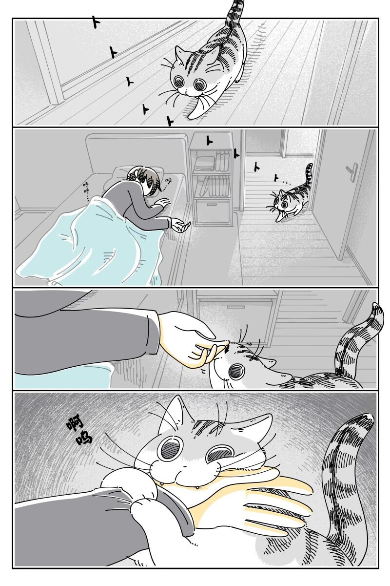 第223话