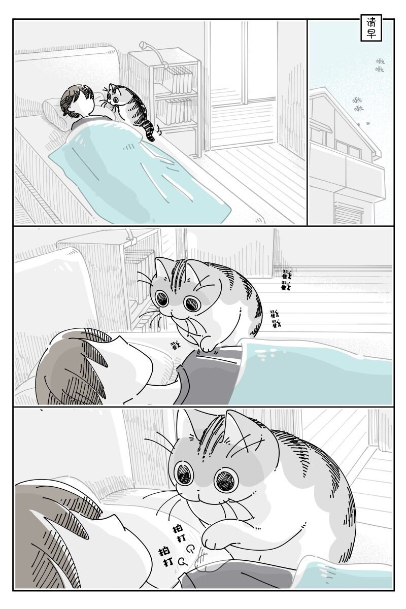 第224话