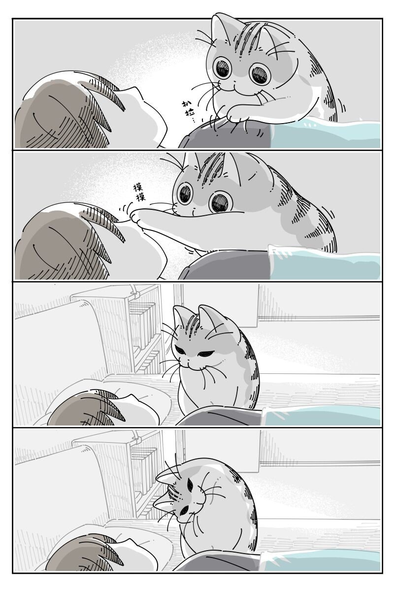 第224话