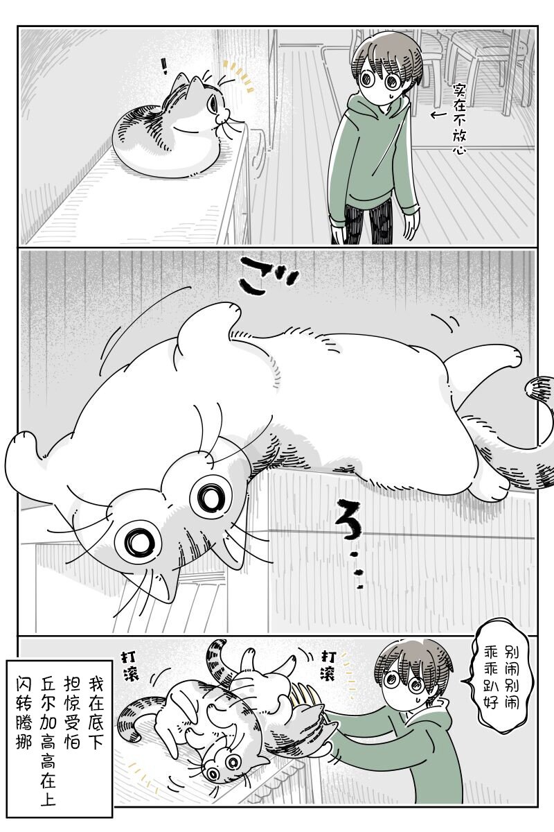 第225话