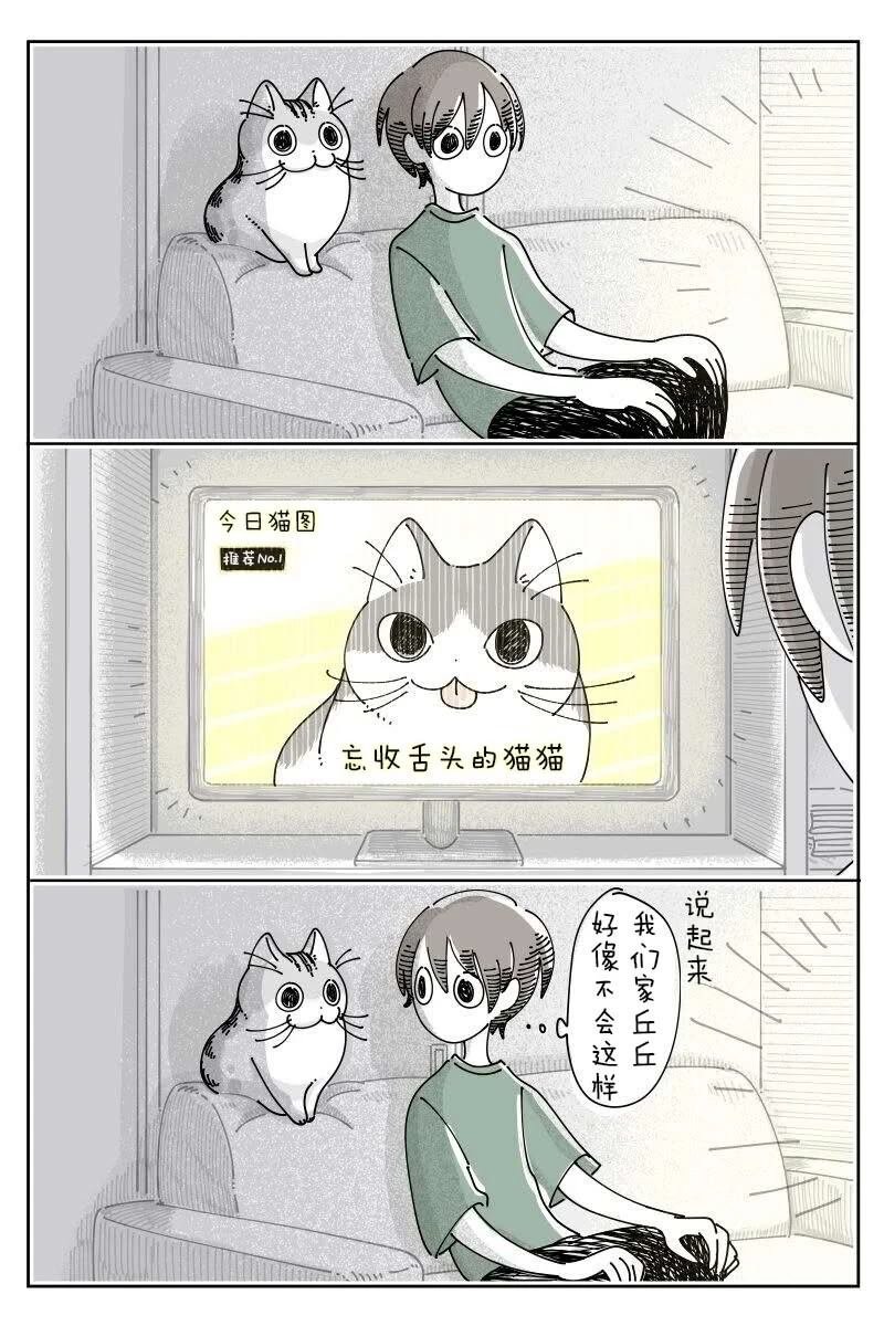 第228话
