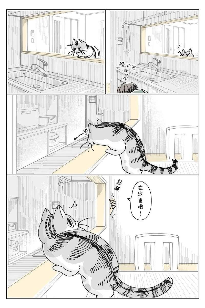 第230话