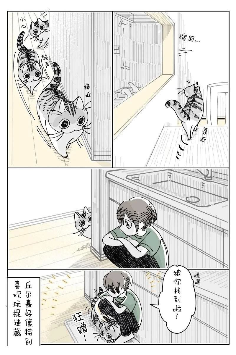 第230话