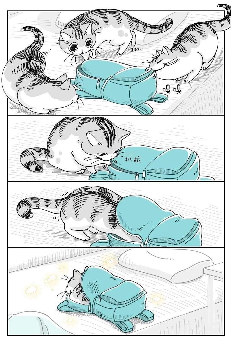 第231话