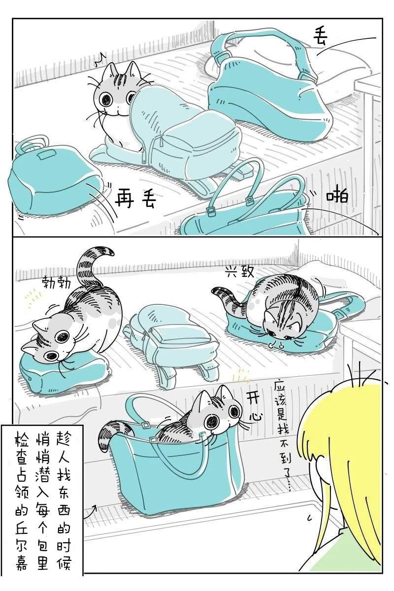 第231话