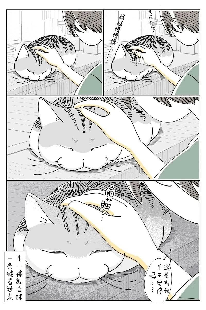 第233话