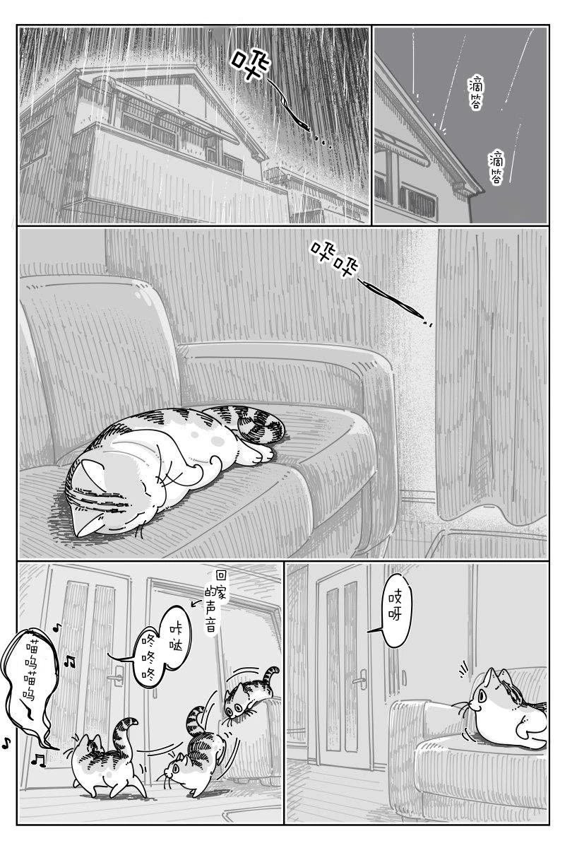 第234话