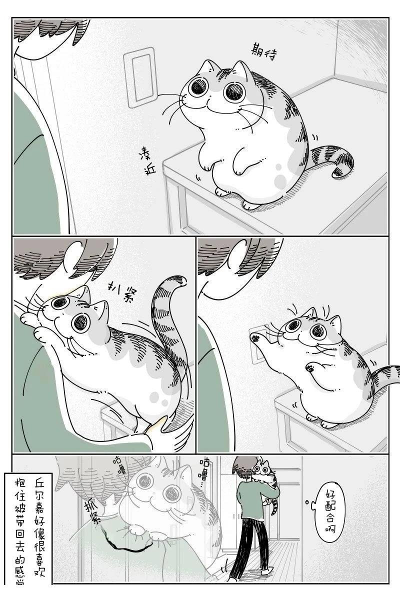 第236话
