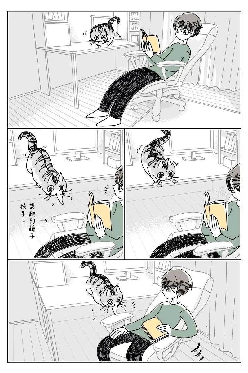 第237话