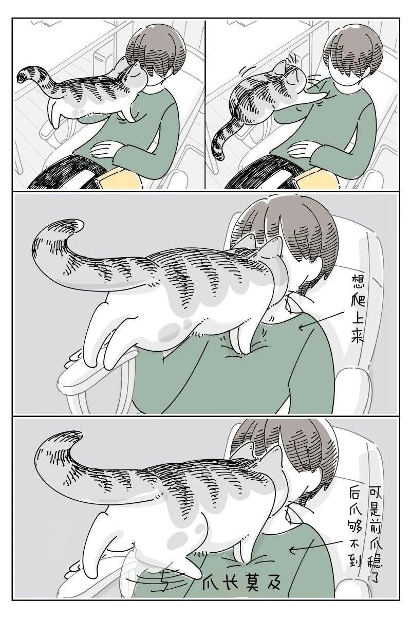 第237话