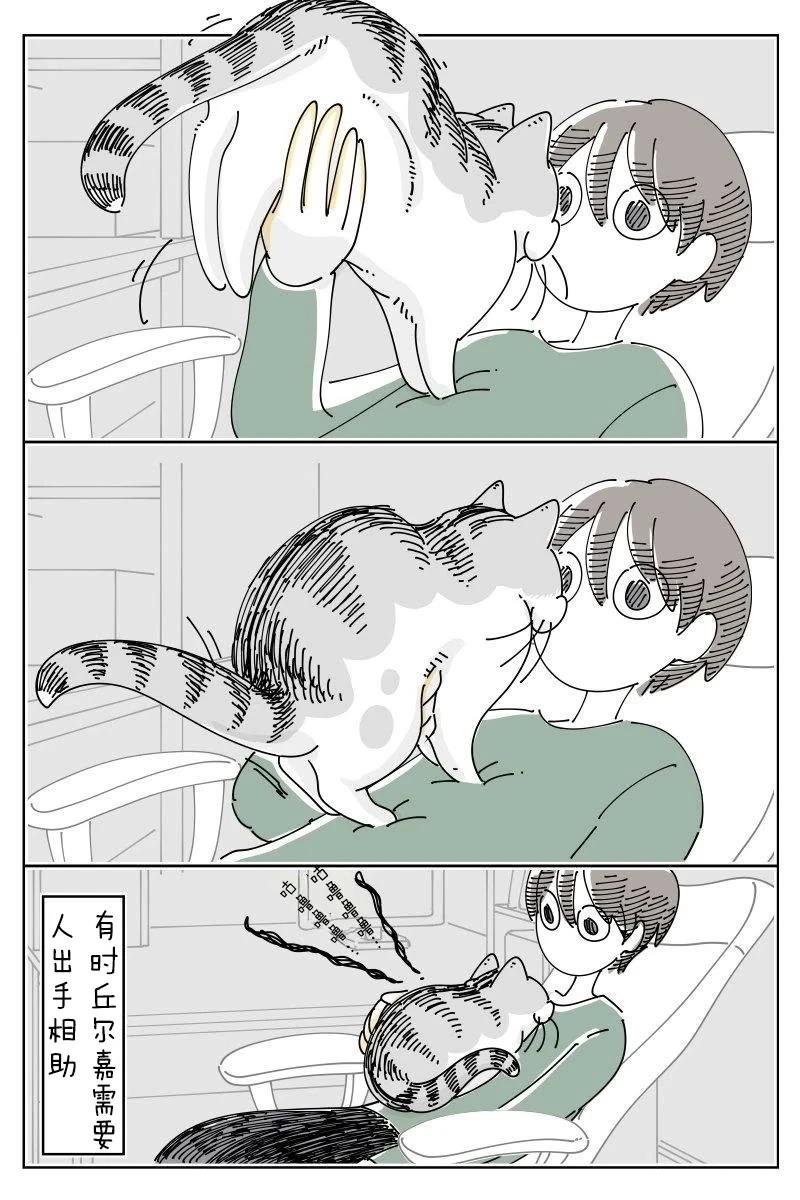 第237话