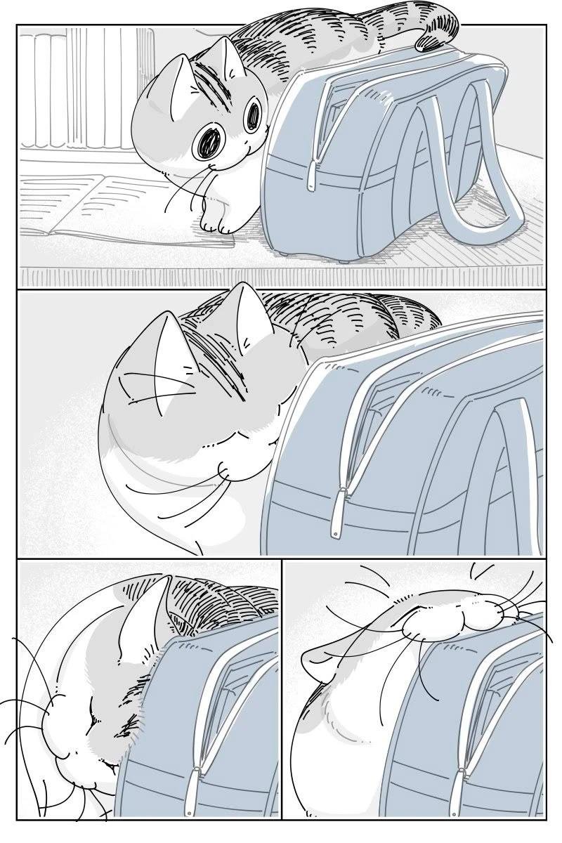 第238话