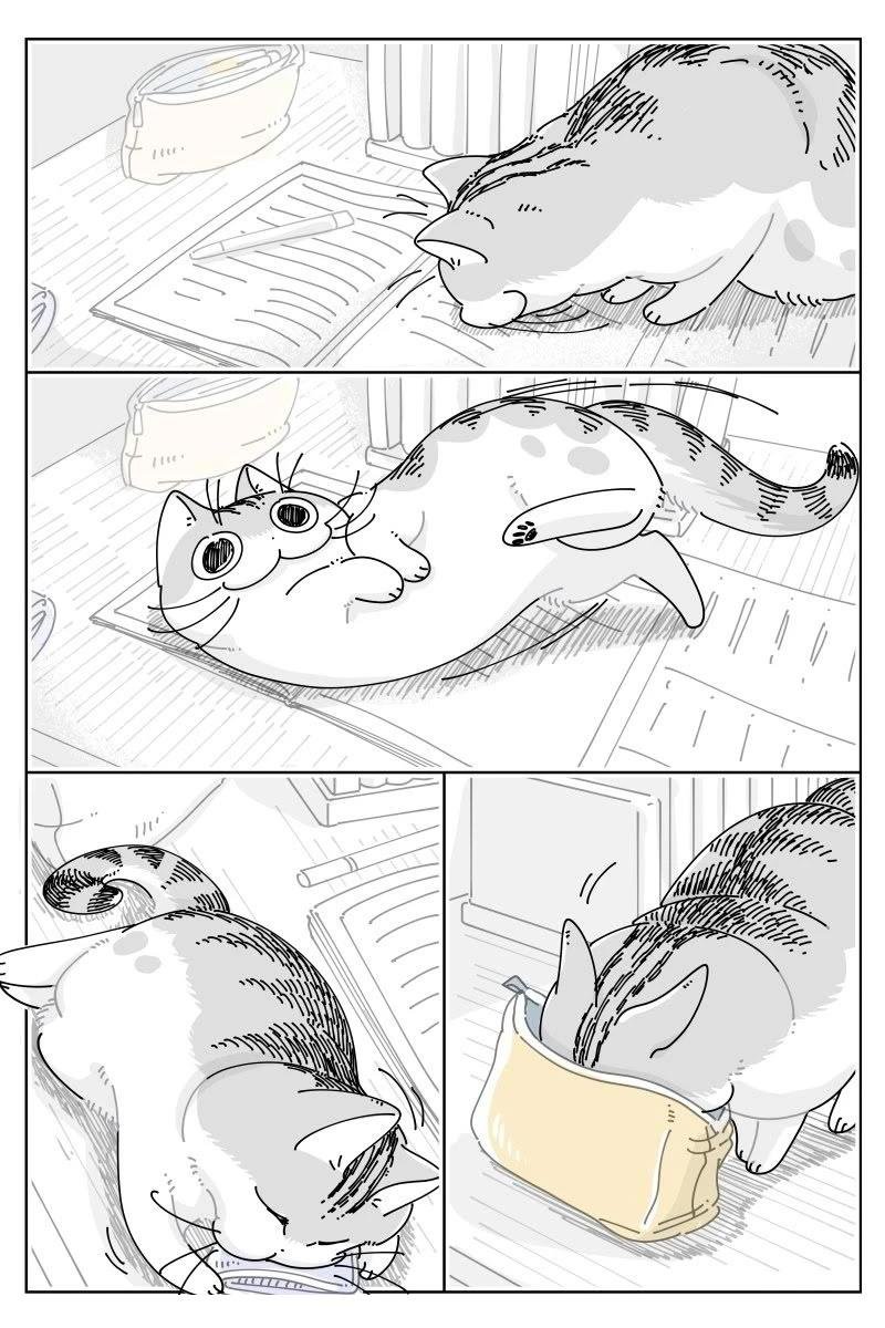 第238话