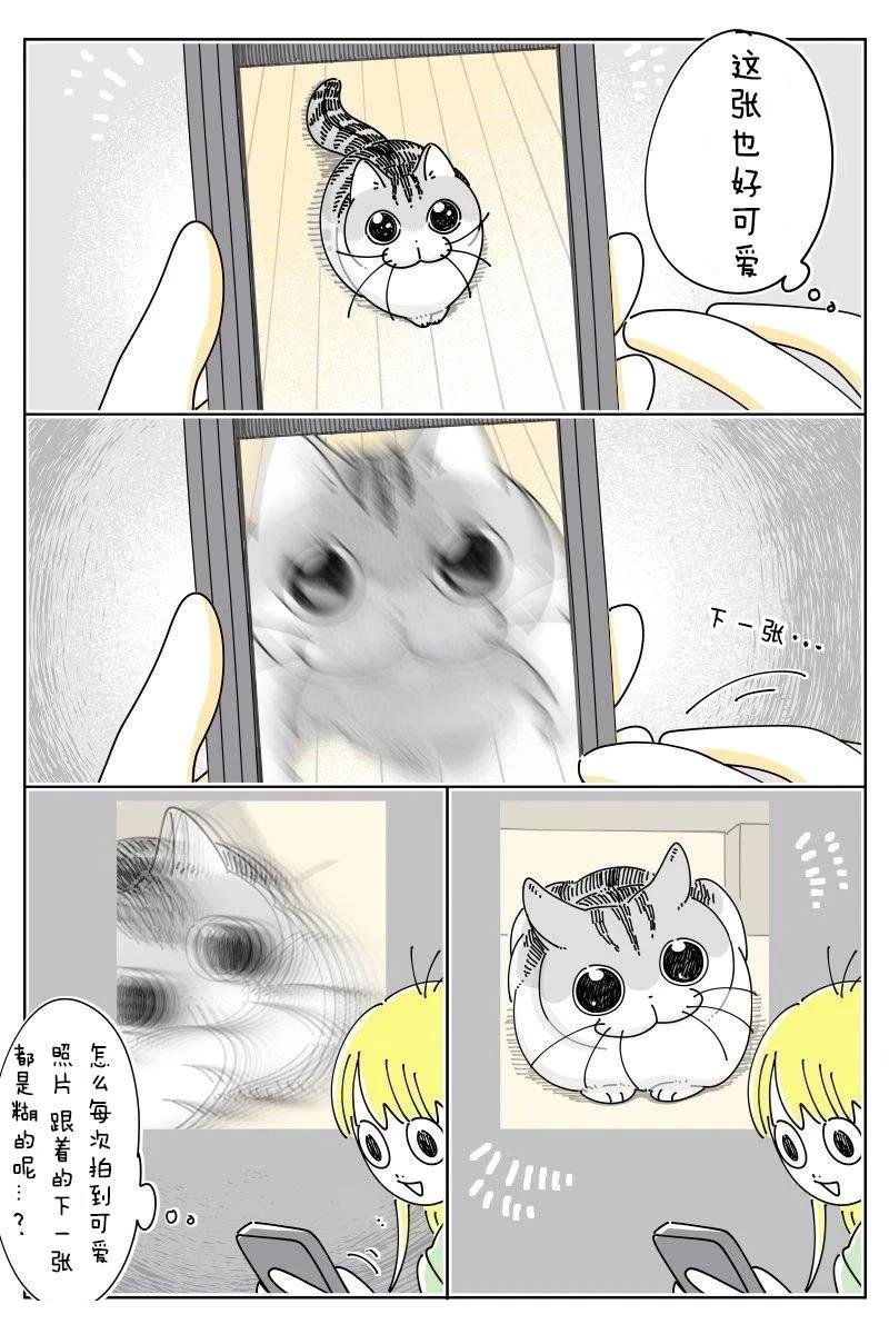 第239话