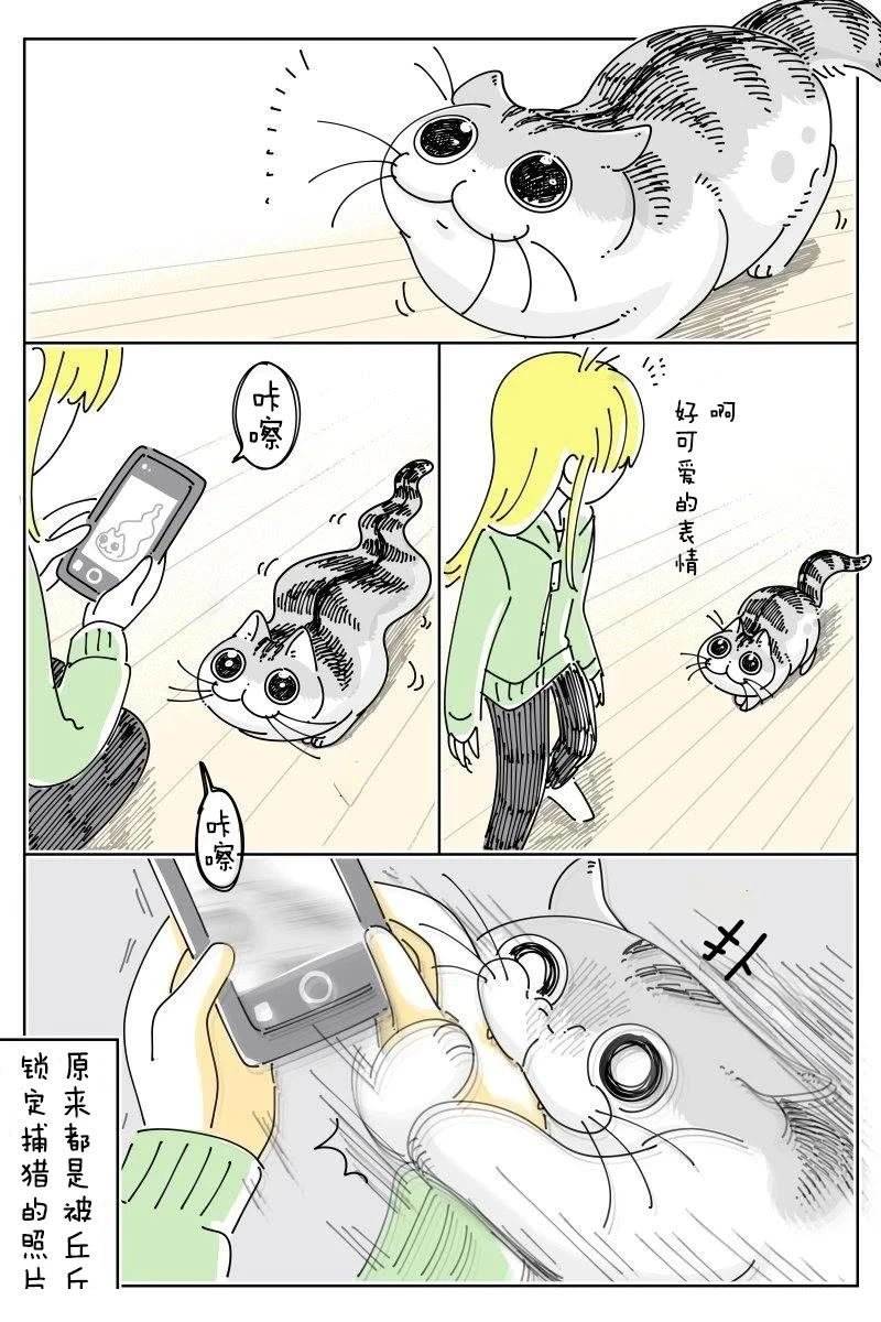 第239话