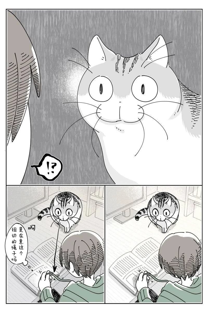 第240话