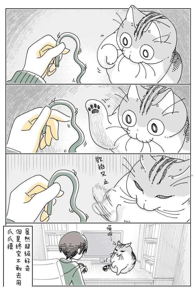 第240话