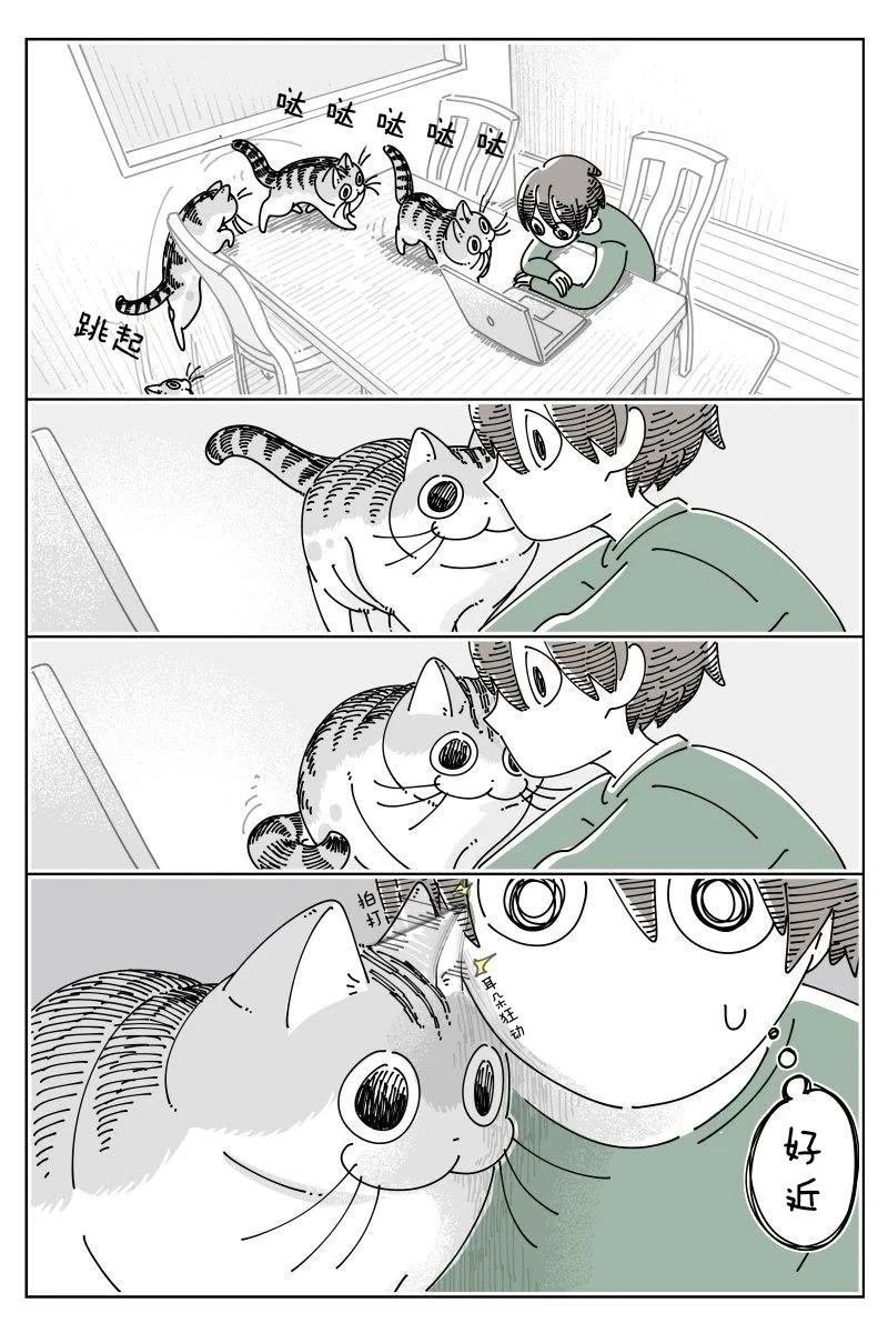 第241话