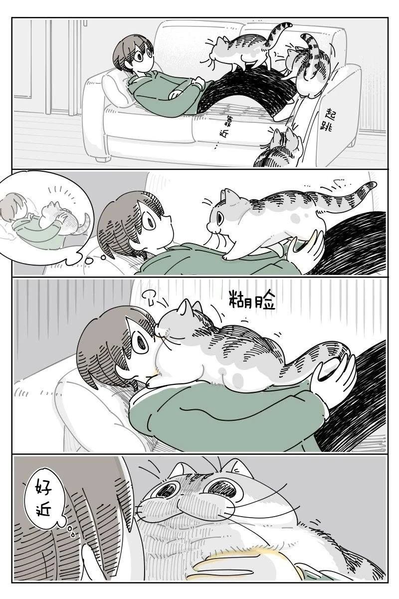 第241话