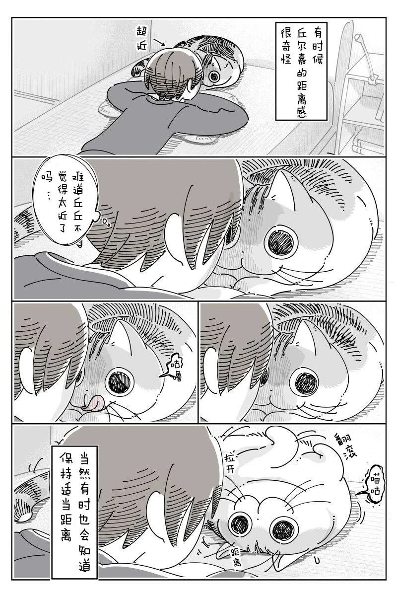 第241话