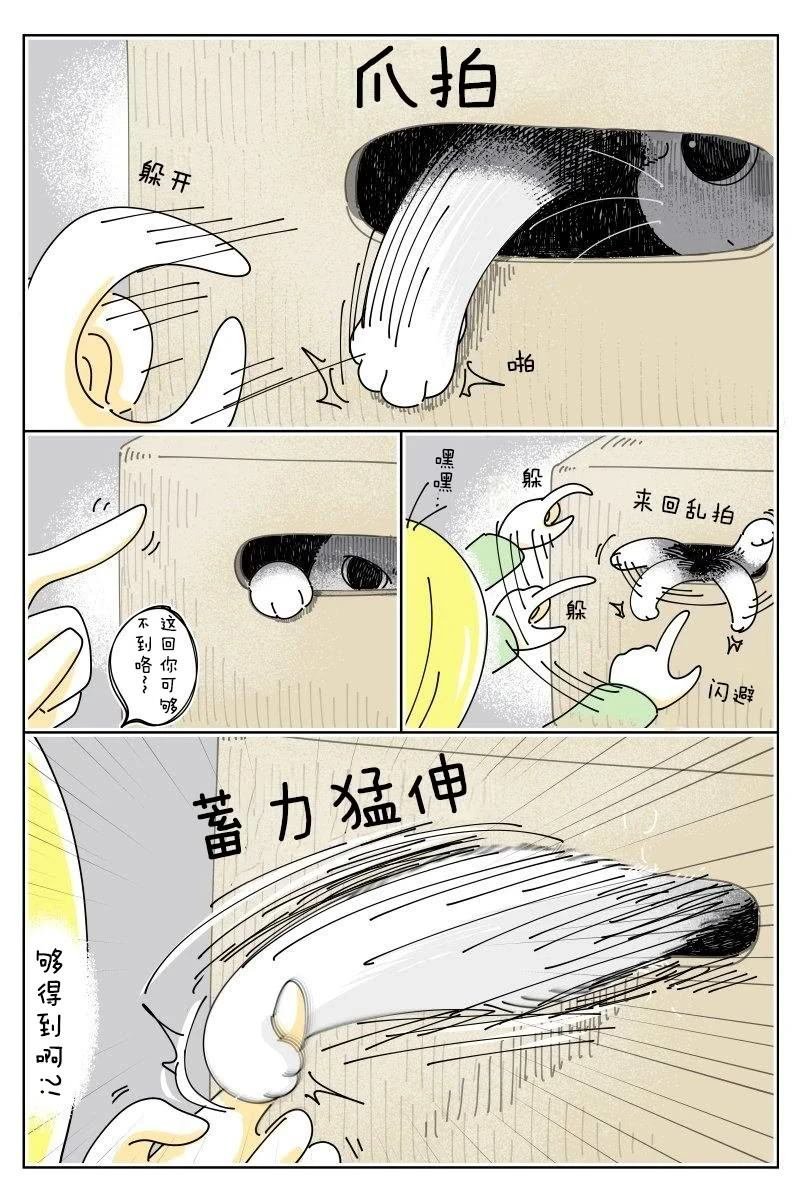第242话