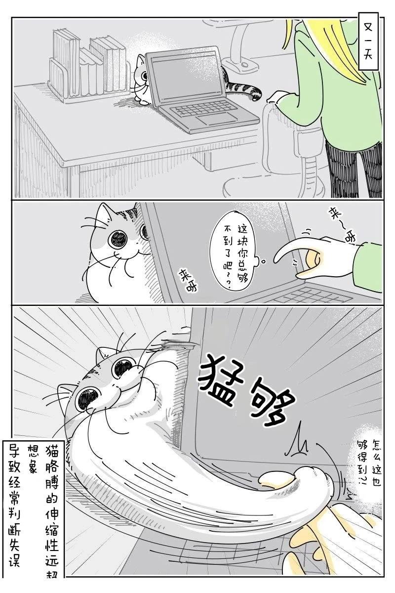 第242话
