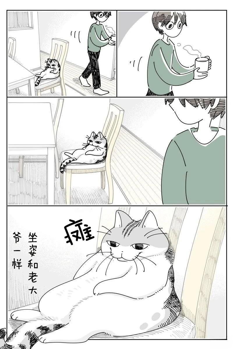 第243话