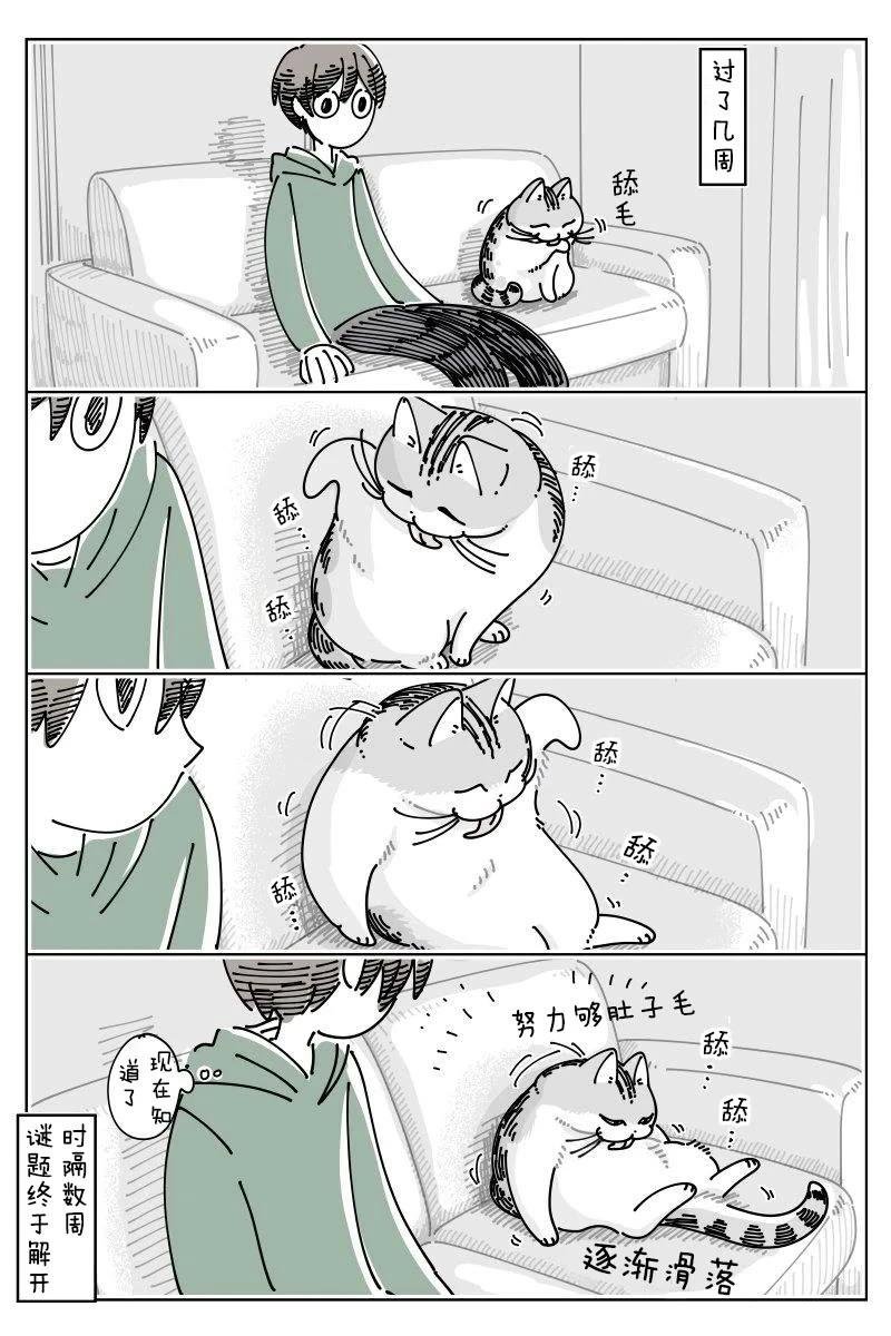 第243话