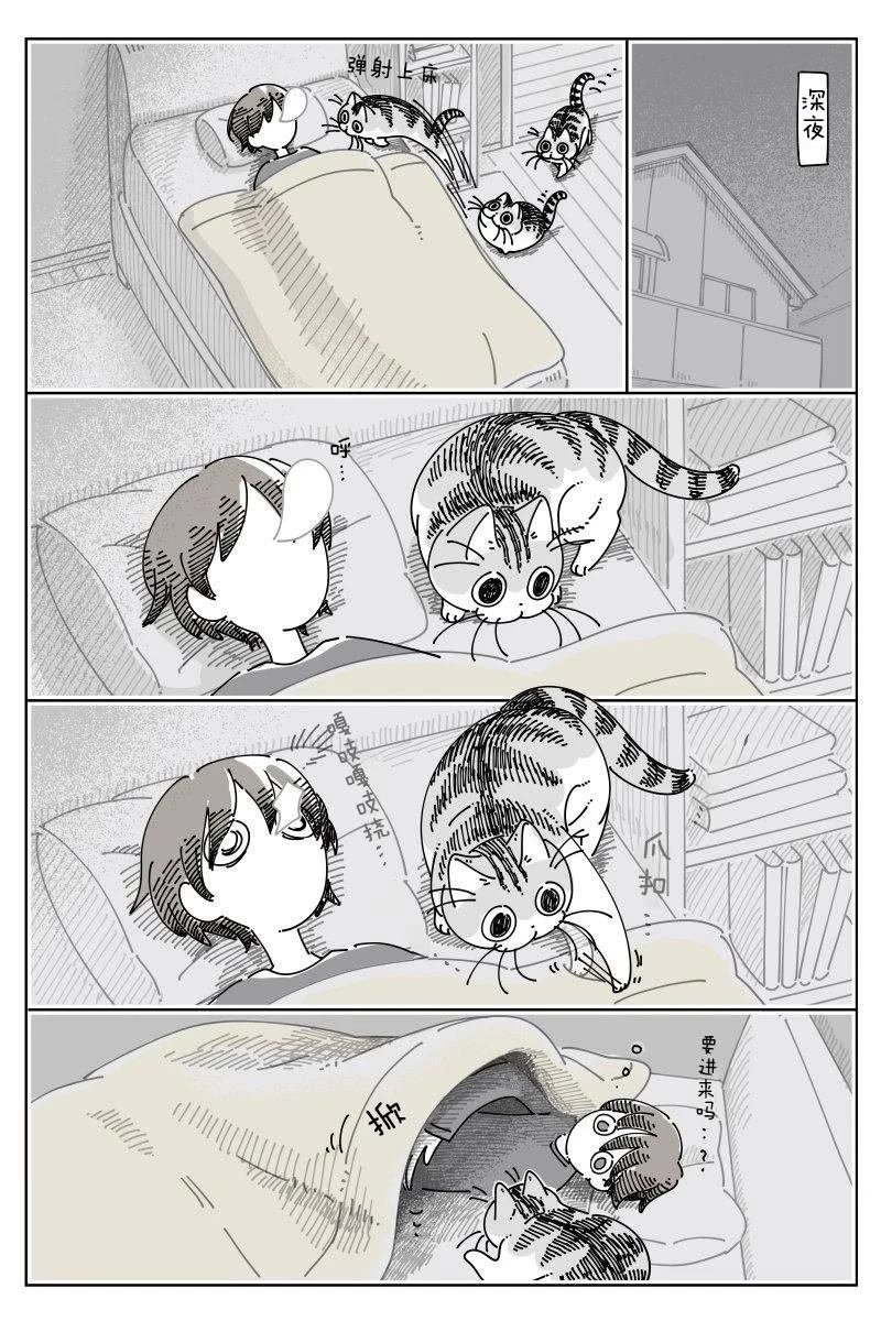 第244话