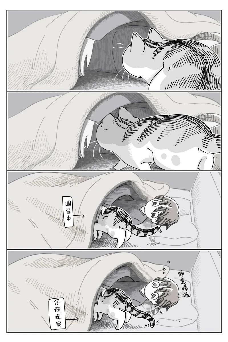 第244话