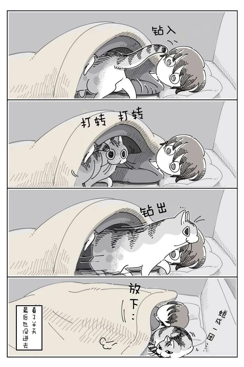 第244话