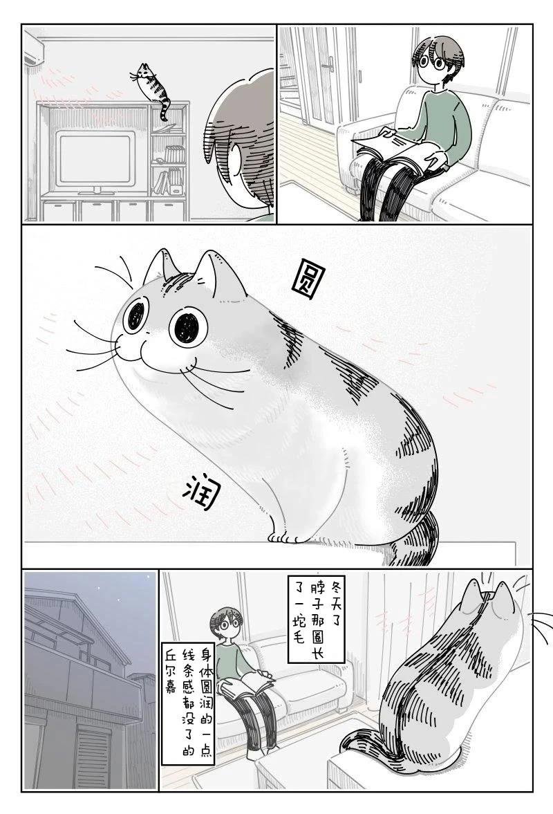 第246话