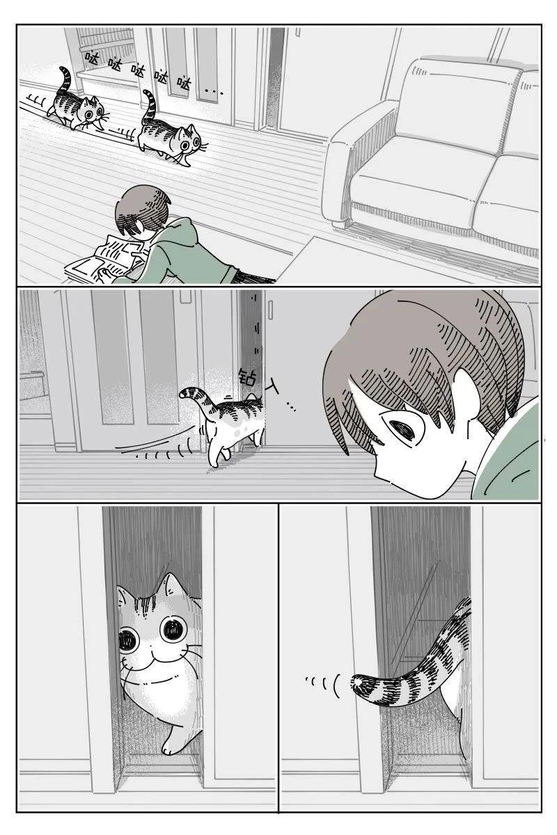 第247话