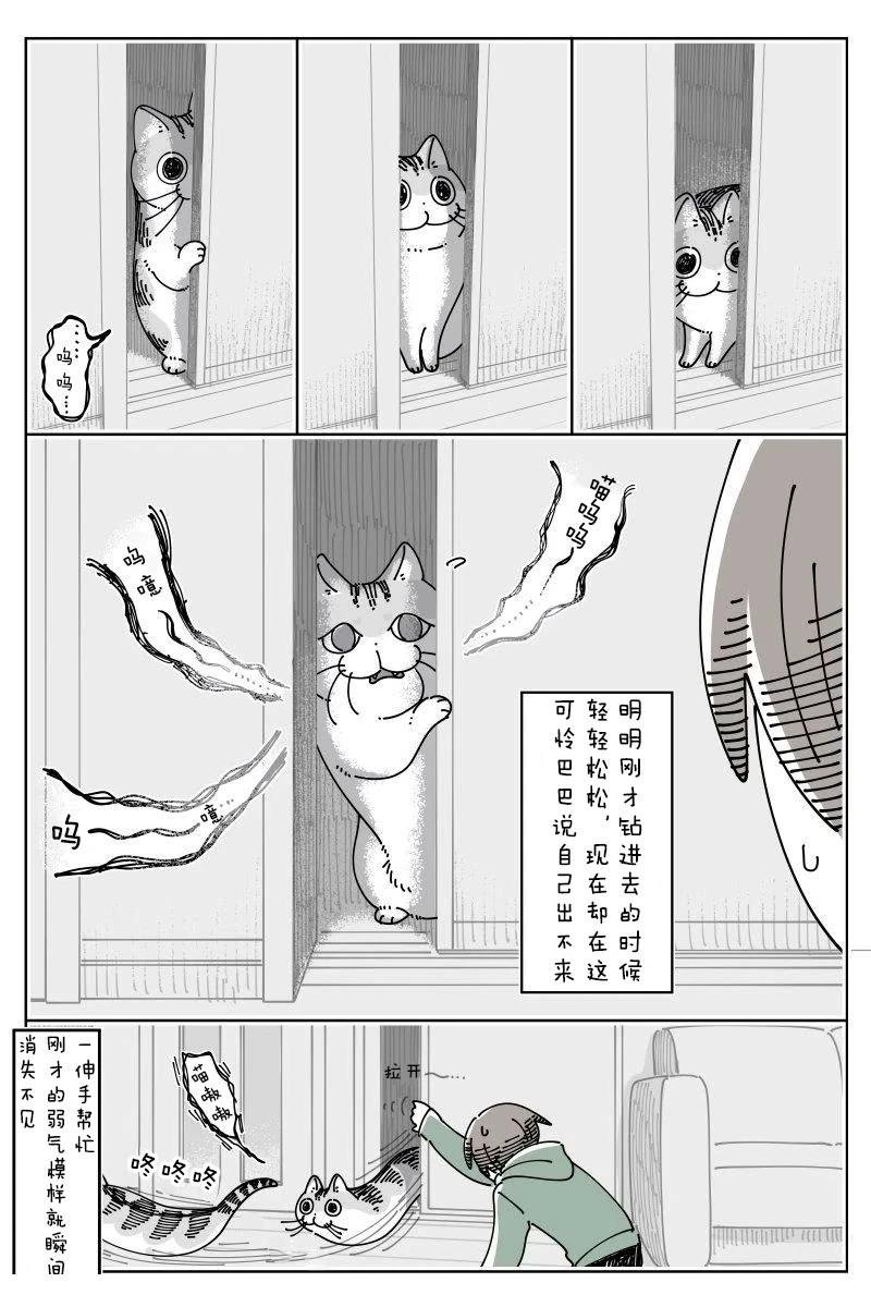 第247话