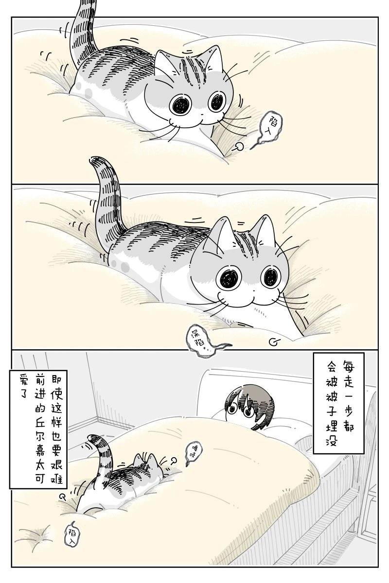 第248话