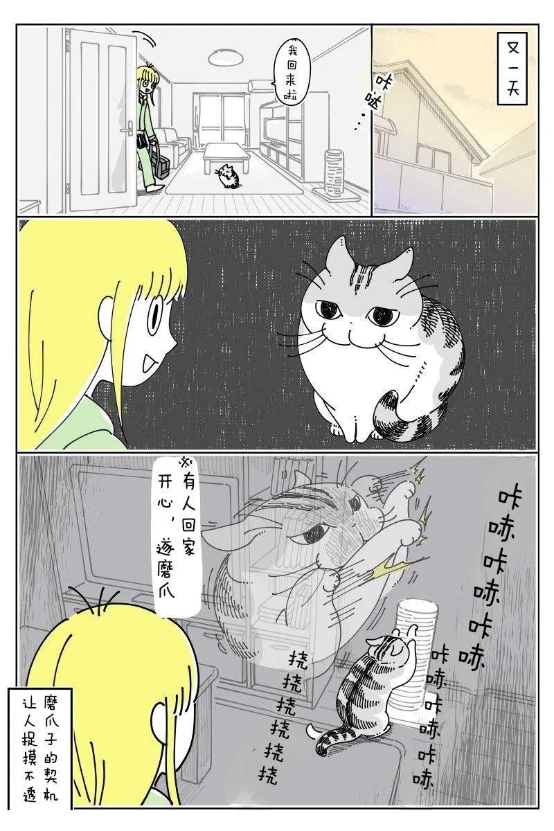 第249话