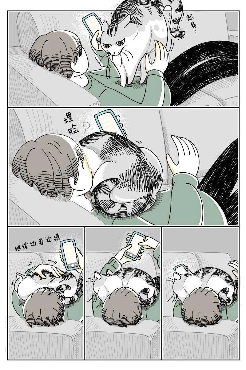 第250话